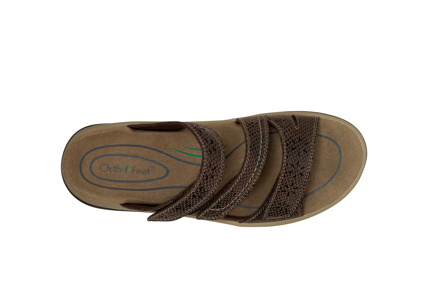 Sahara - Brown Snake - Image 11