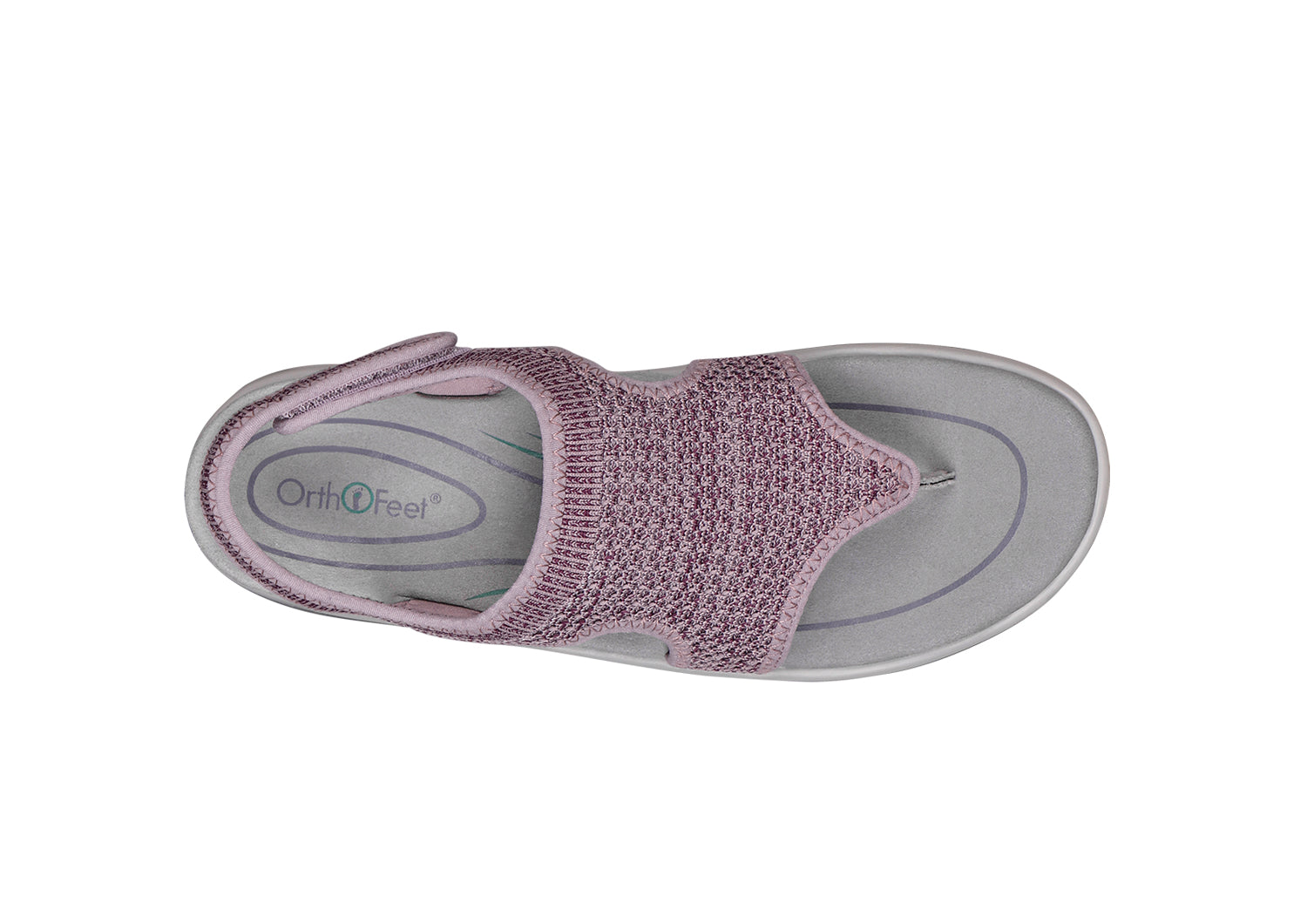 Lyra - Rose - Image 11