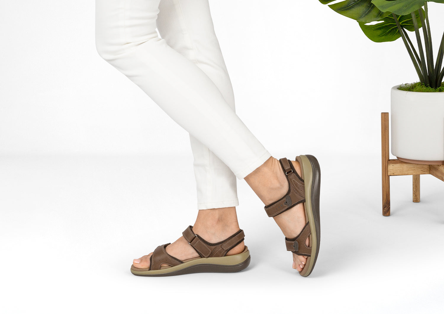 Malibu - Brown - Image 2