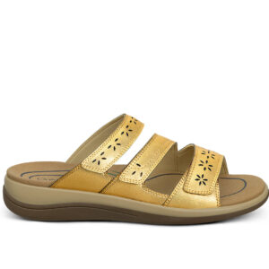Sahara - Gold